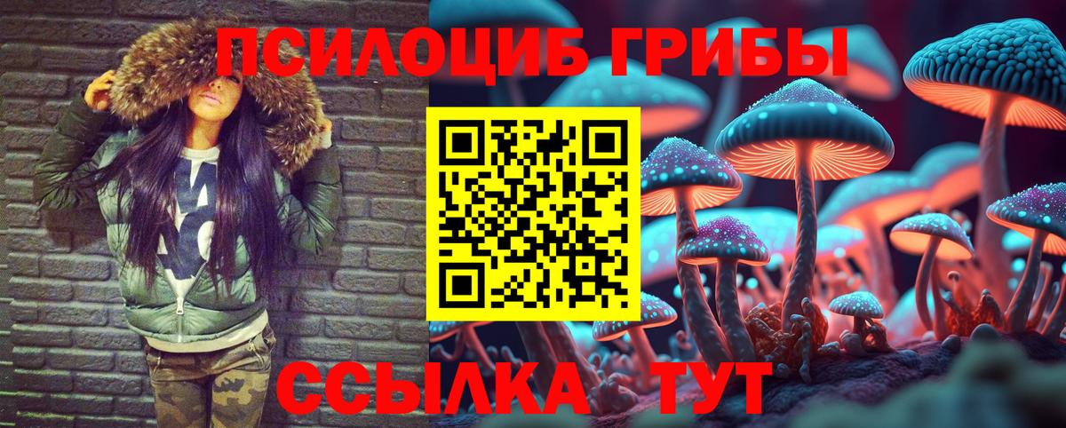 Видное  Псилоцибиновые грибы Psilocybe  Галлюциногенные грибы MAGIC MUSHROOMS  Вход с VPN 