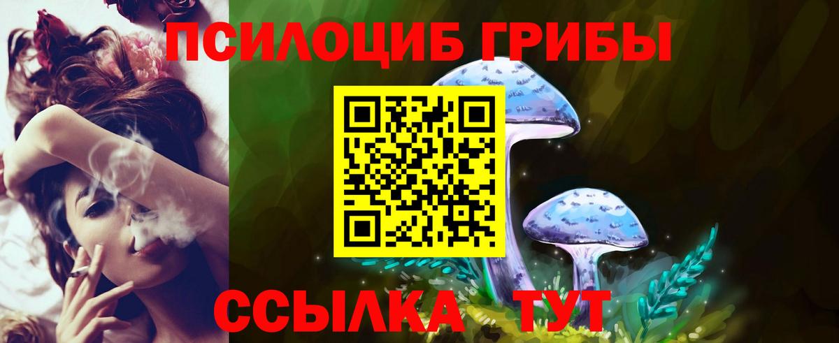 Псилоцибиновые грибы Psilocybe Видное